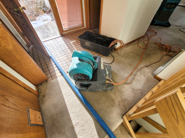 Best Sewage cleanup and water damage restoration  in Copper Canyon, TX