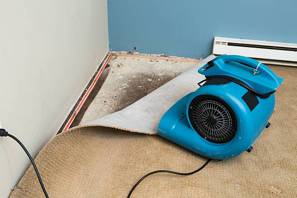 Best Flooded house restoration  in Copper Canyon, TX